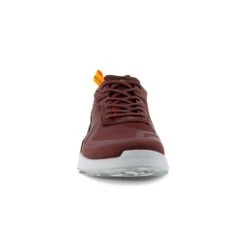 Ecco M BIOM 2.1 X COUNTRY I, Chocolat - Ombre -Ecco ecco m biom 21 x country i 22a eco 822834 chocolat ombre 3