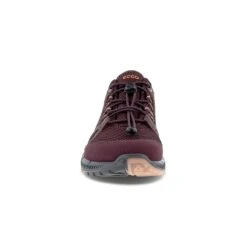 Ecco W TERRACRUISE II GTX TEX, Fig- Fig